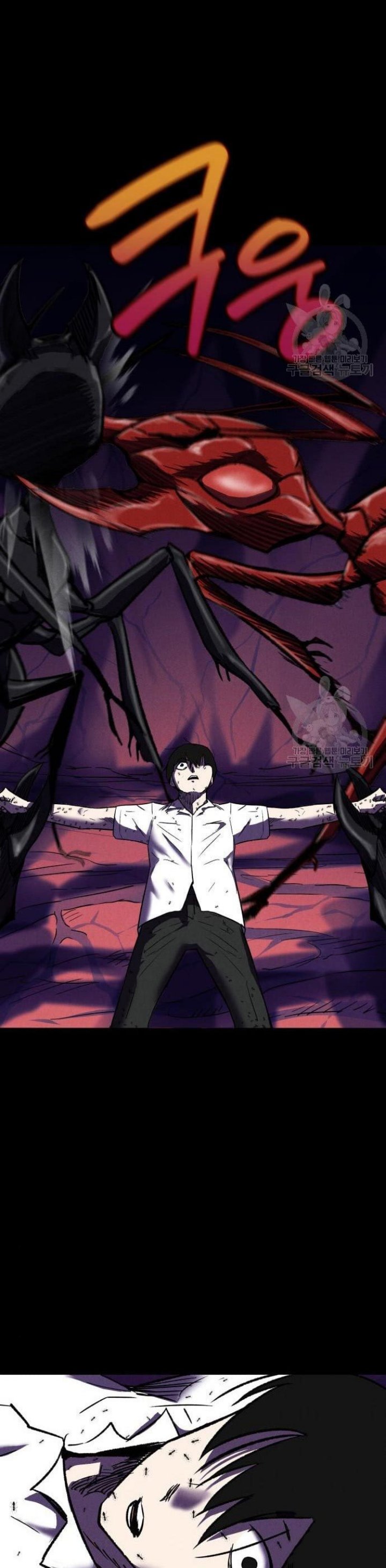 Insector