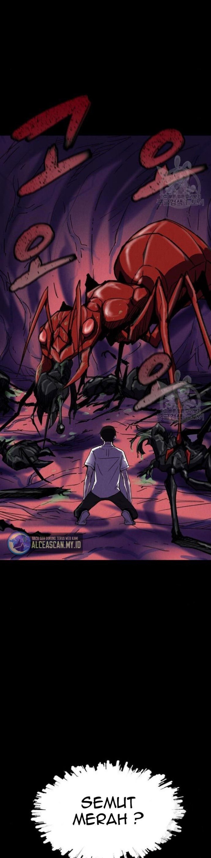 Insector