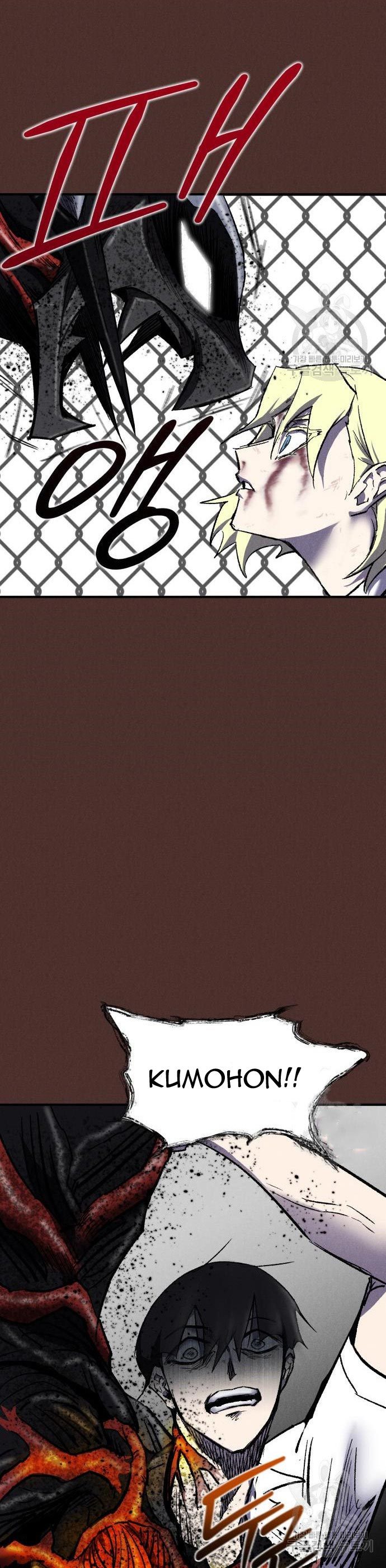 Insector