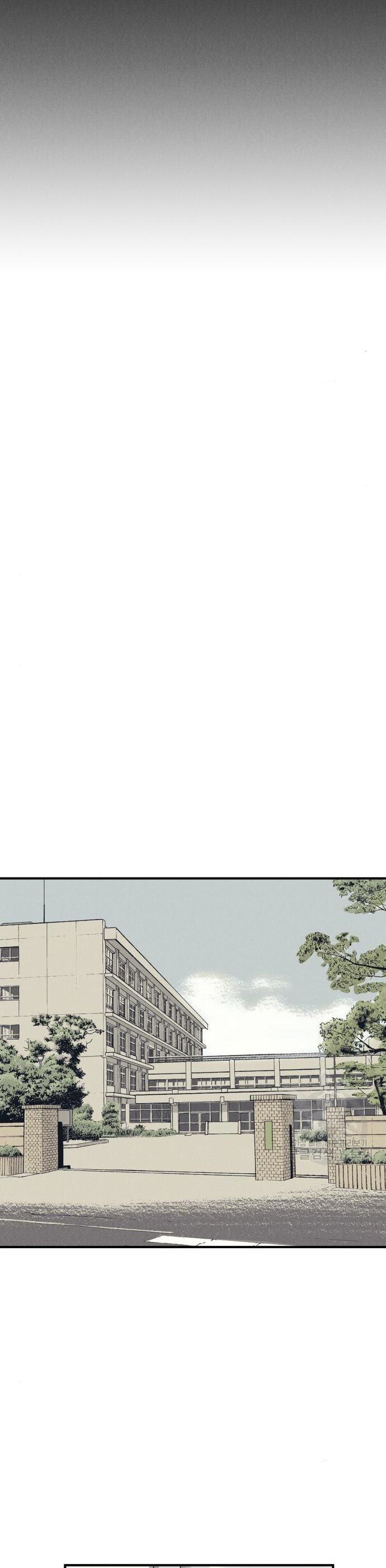 Insector