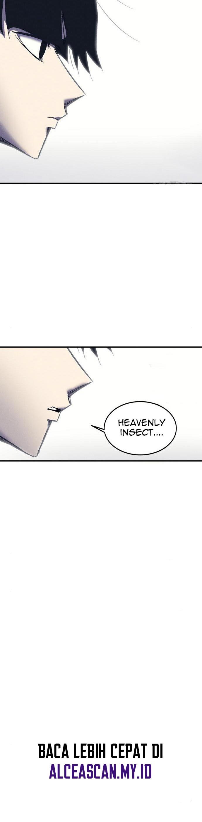 Insector