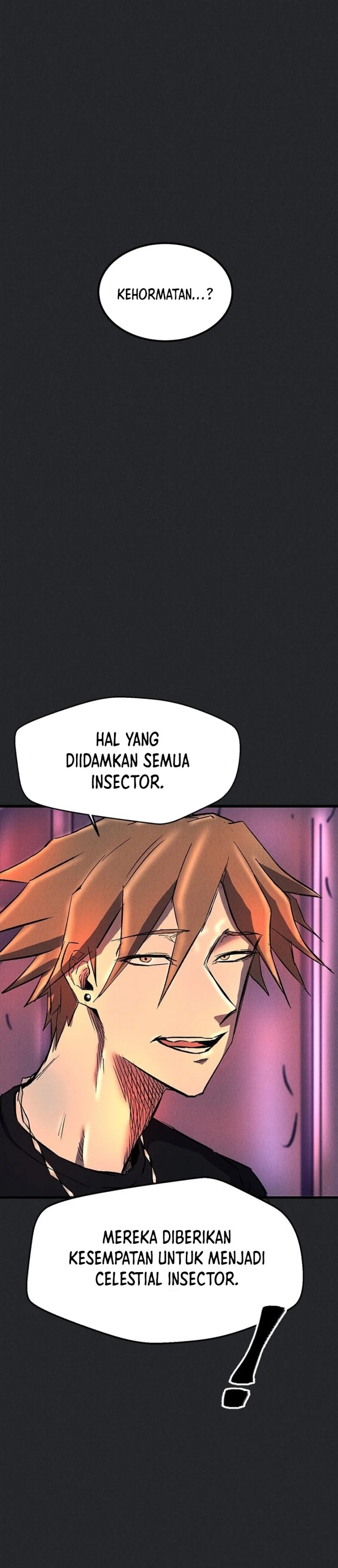 Insector