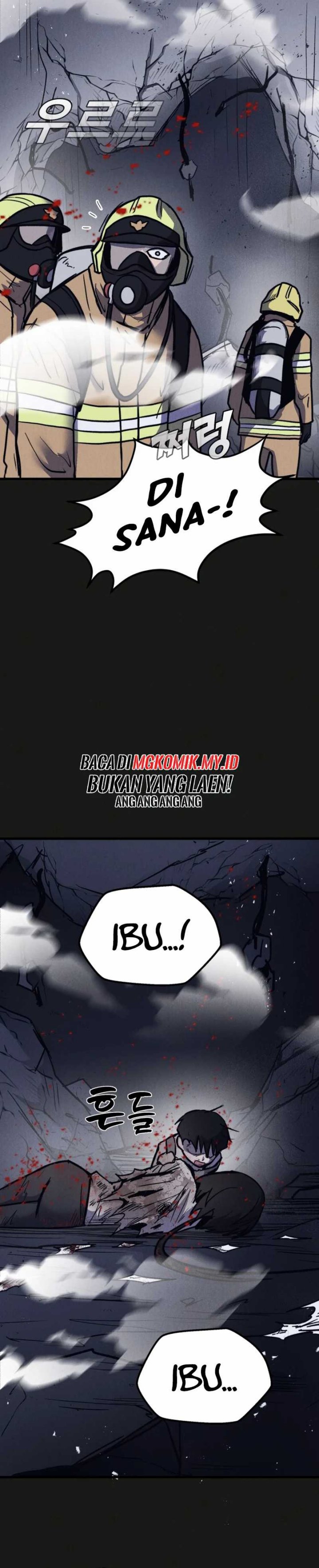 Insector