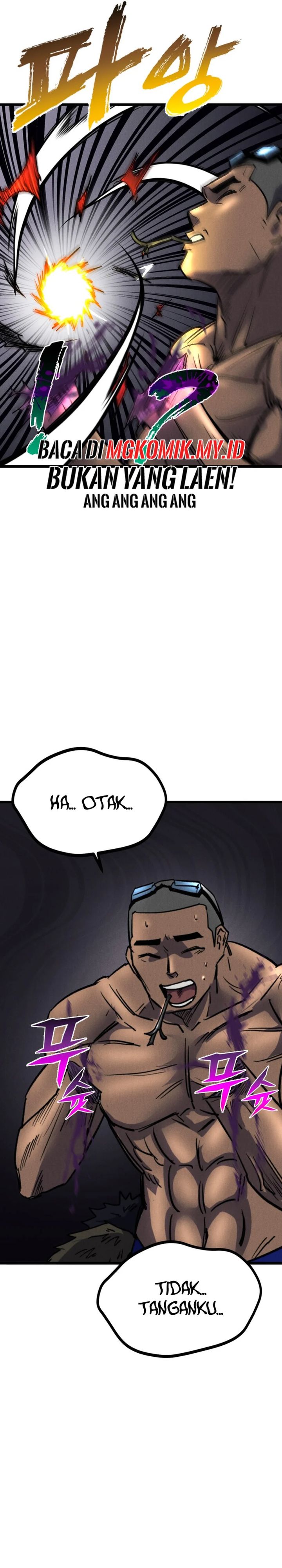 Insector