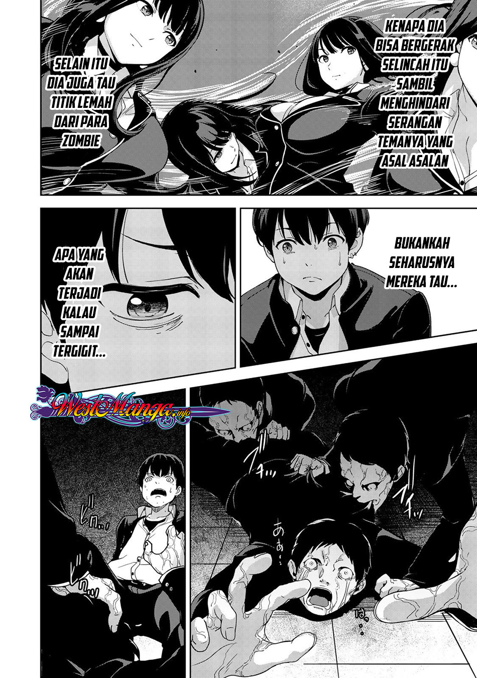 Kingdom of the Z