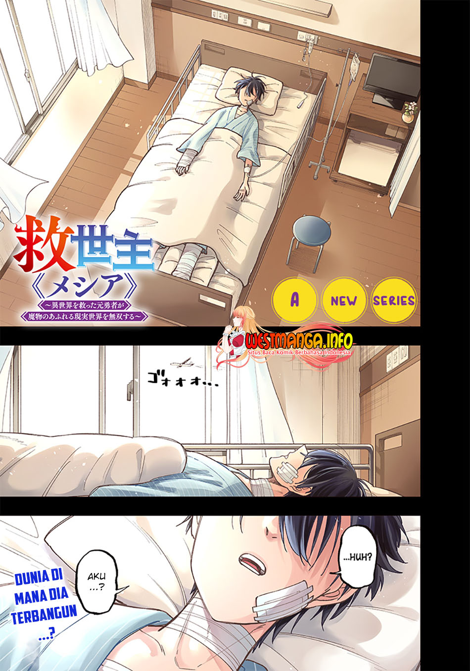 Kyuuseishu (MESHIA) ~Isekai wo Sukutta Moto Yuusha ga Mamono no Afureru Genjitsu Sekai wo Musou suru~