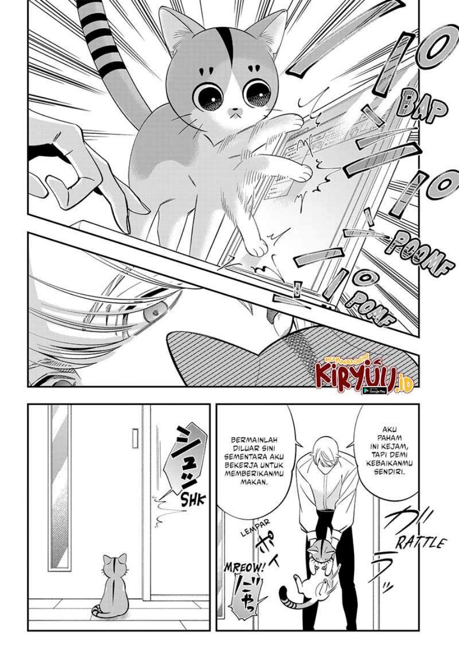 Miyaou Tarou ga Neko wo Kau Nante