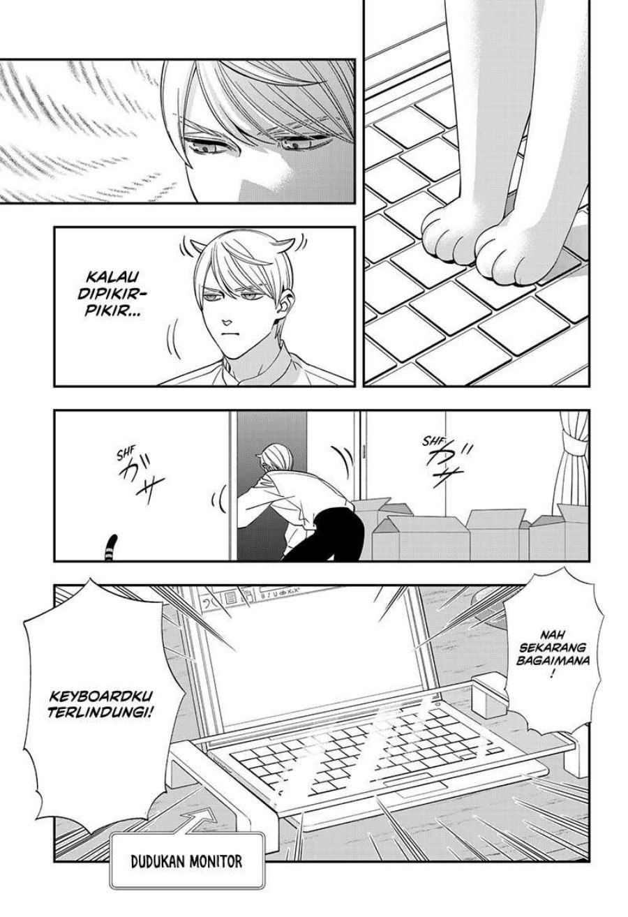 Miyaou Tarou ga Neko wo Kau Nante