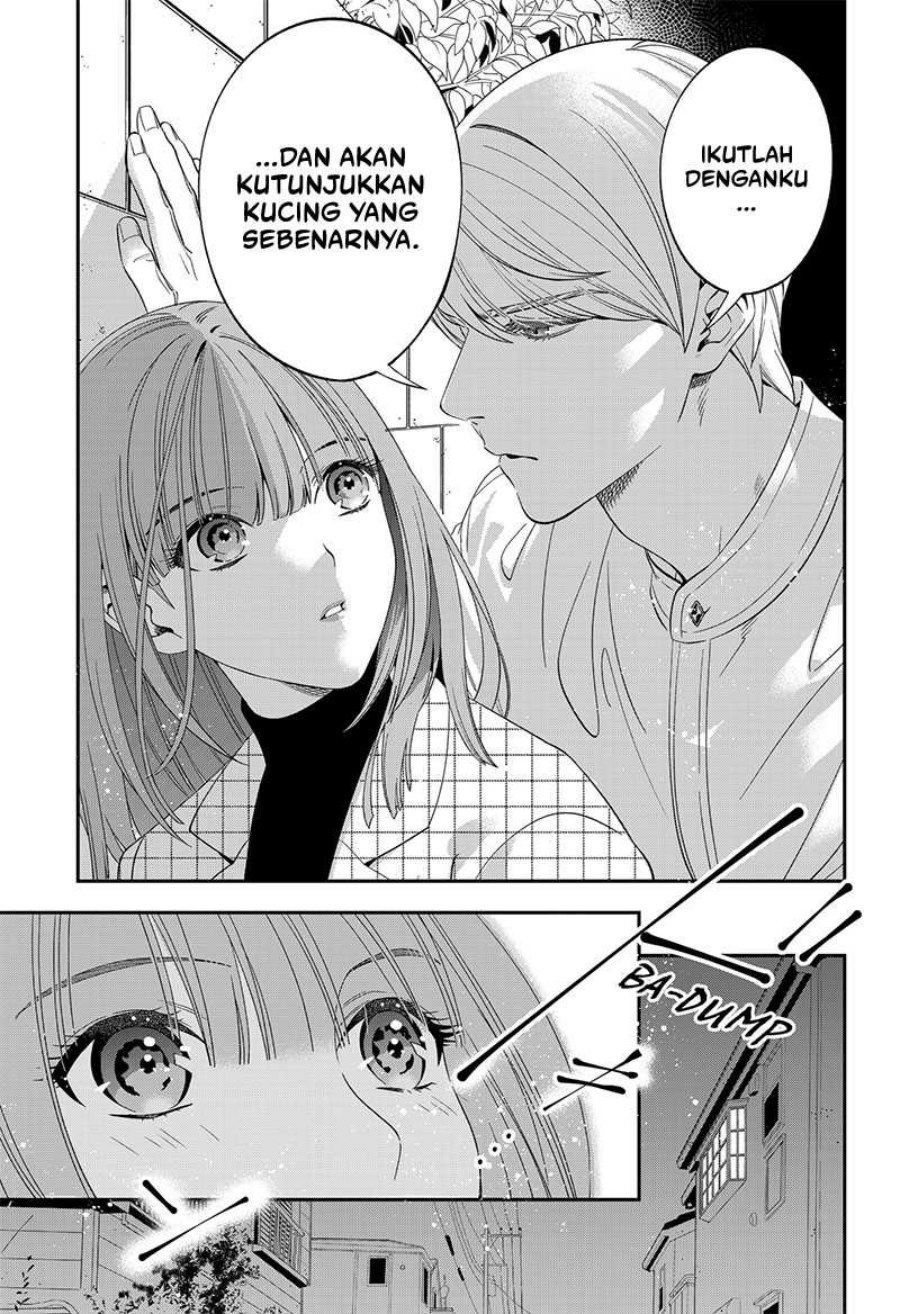 Miyaou Tarou ga Neko wo Kau Nante