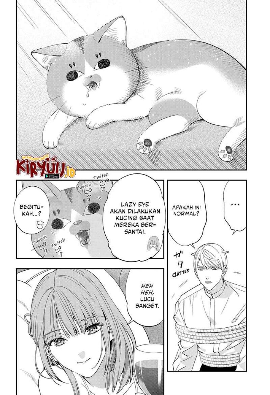 Miyaou Tarou ga Neko wo Kau Nante