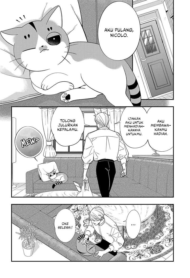 Miyaou Tarou ga Neko wo Kau Nante