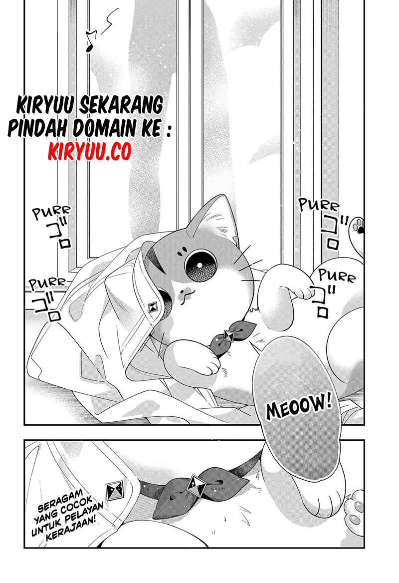 Miyaou Tarou ga Neko wo Kau Nante