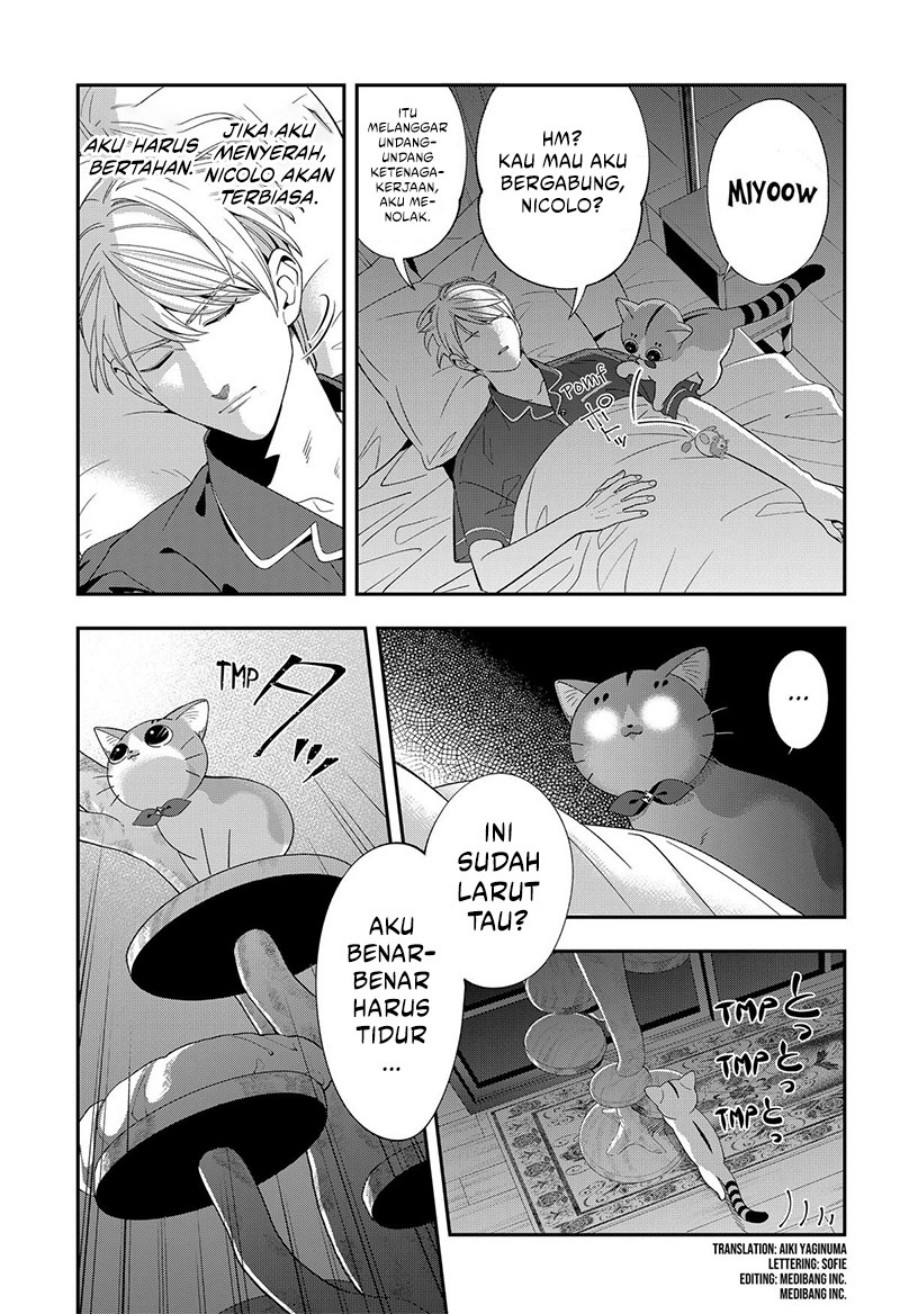 Miyaou Tarou ga Neko wo Kau Nante