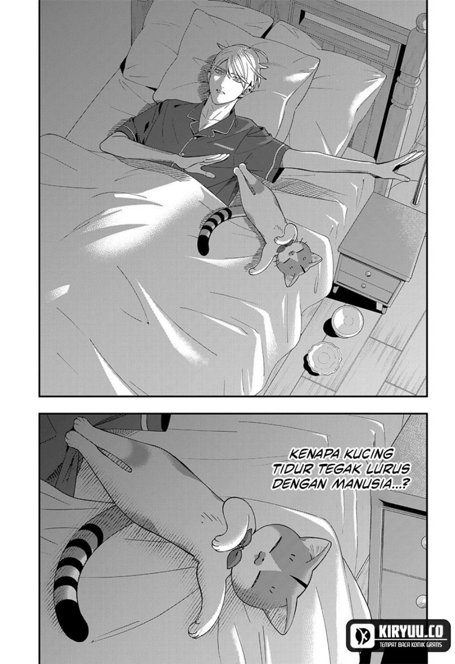 Miyaou Tarou ga Neko wo Kau Nante