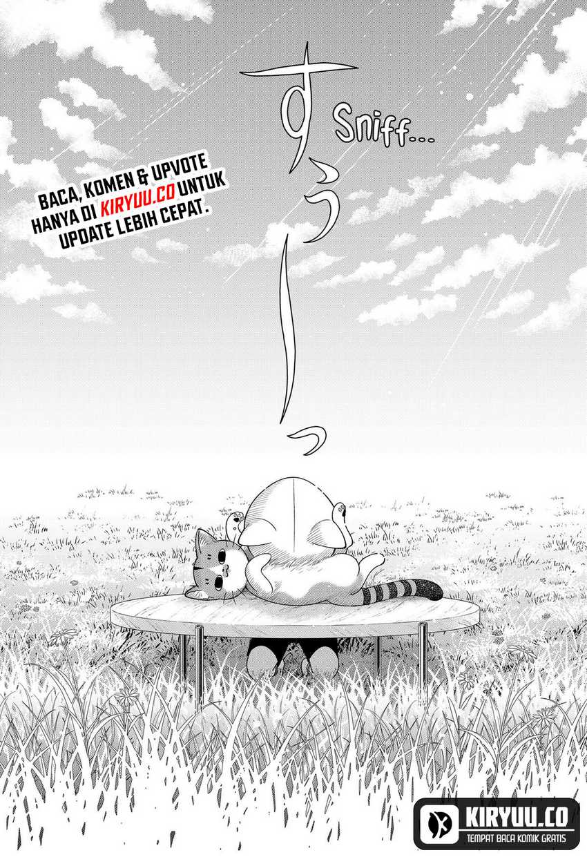 Miyaou Tarou ga Neko wo Kau Nante