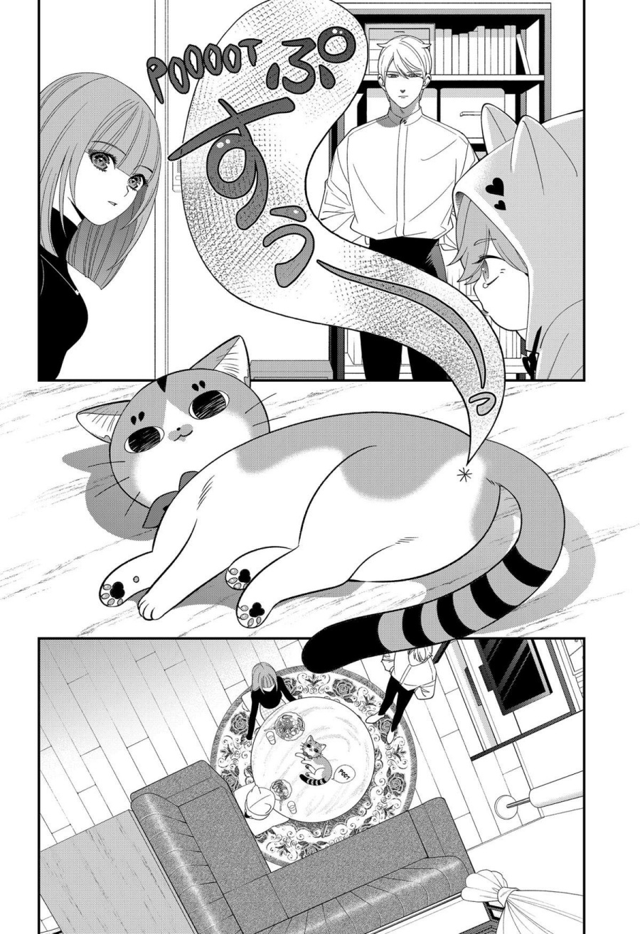 Miyaou Tarou ga Neko wo Kau Nante