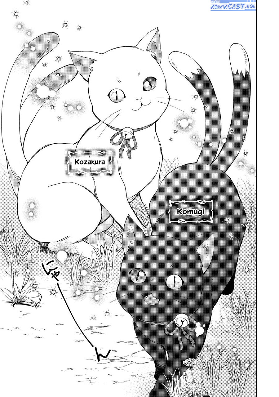 Nonbiri VRMMO-ki