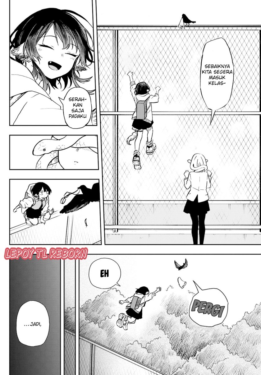 Ogami Tsumiki to Kinichijou.