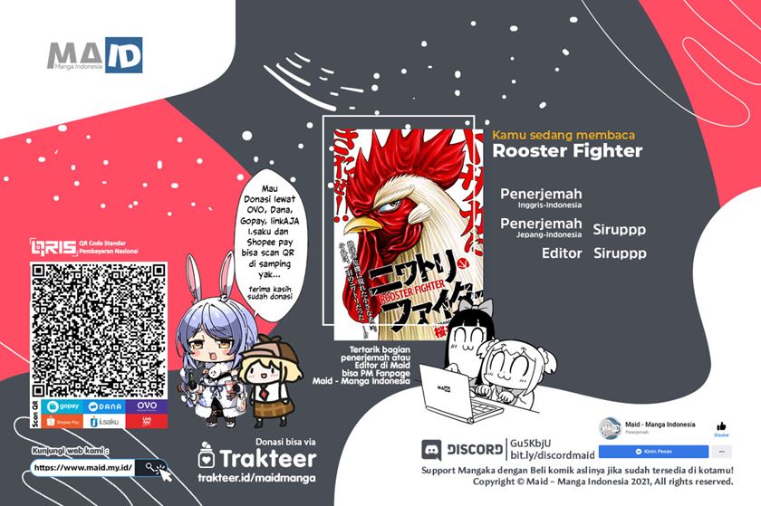 Rooster Fighter