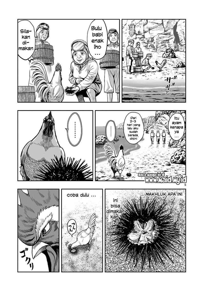 Rooster Fighter