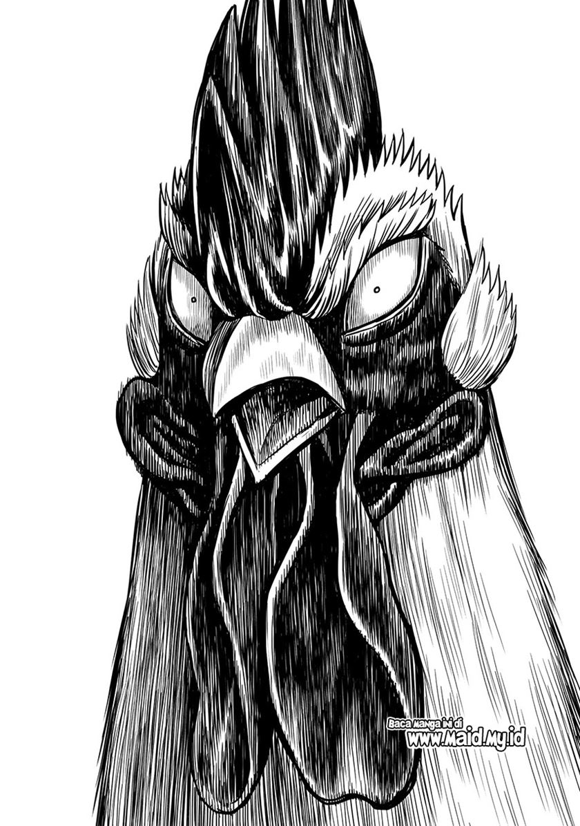 Rooster Fighter