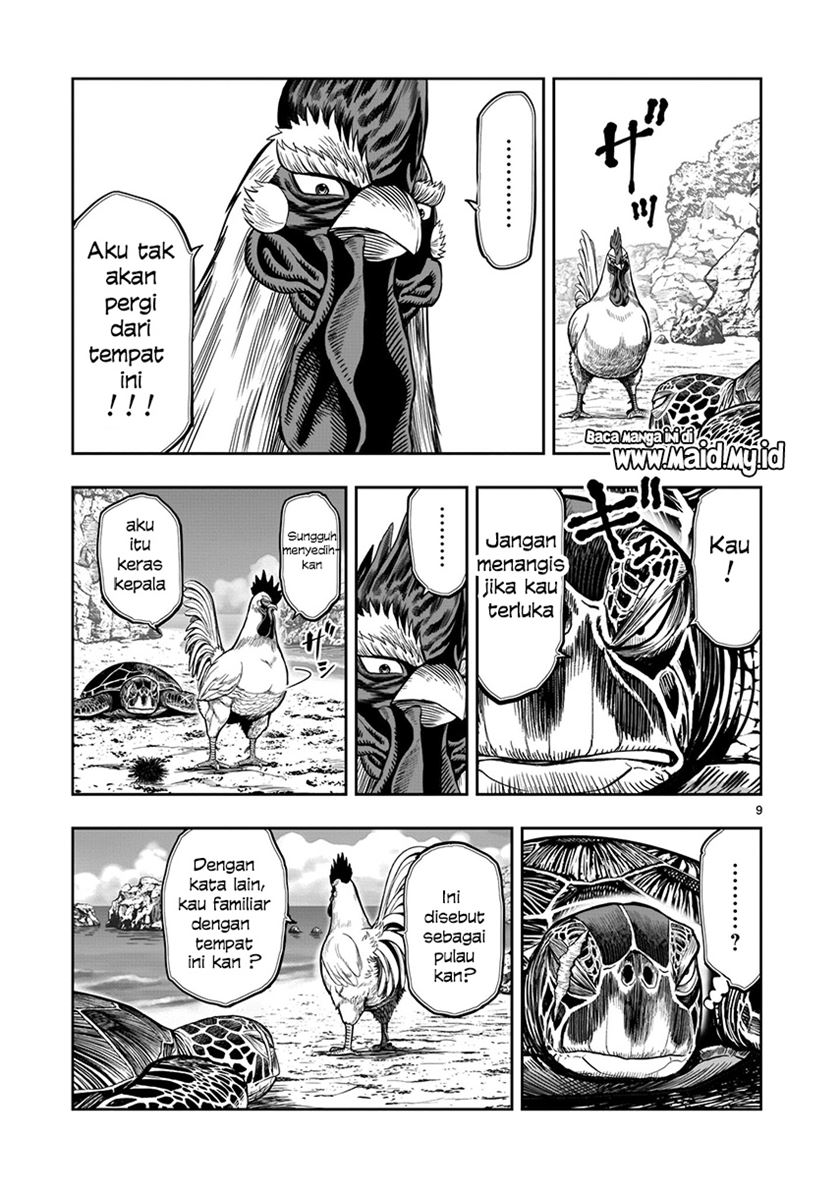 Rooster Fighter