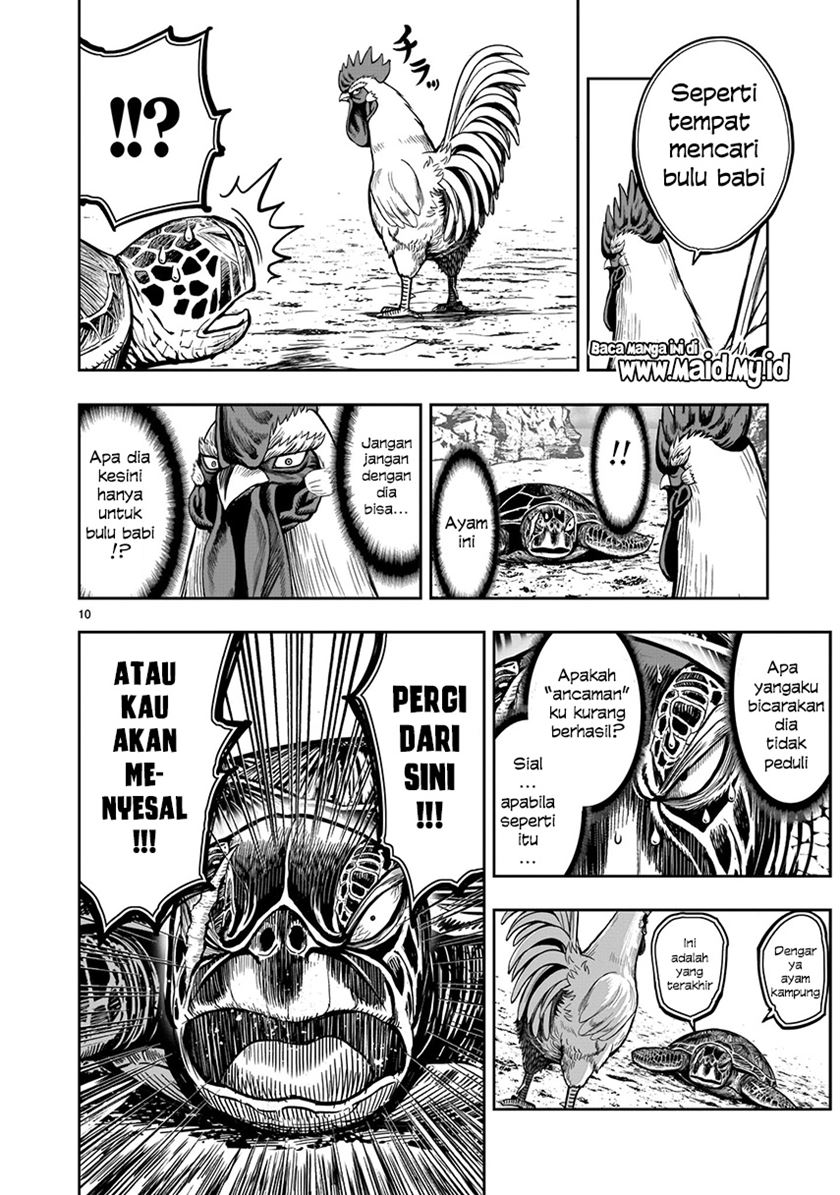 Rooster Fighter