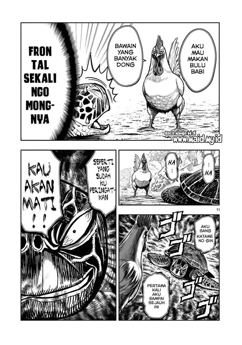 Rooster Fighter