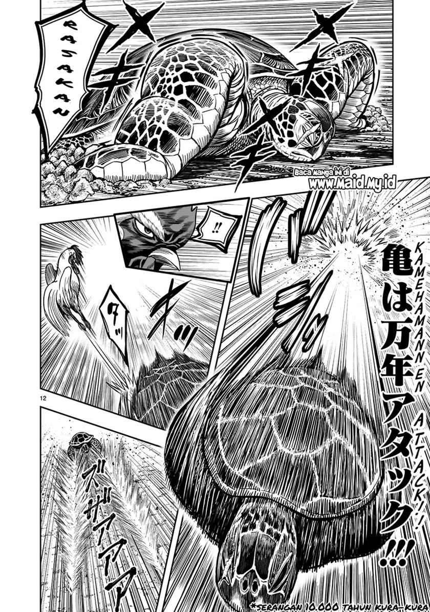 Rooster Fighter