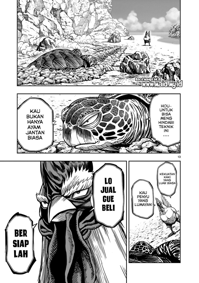 Rooster Fighter