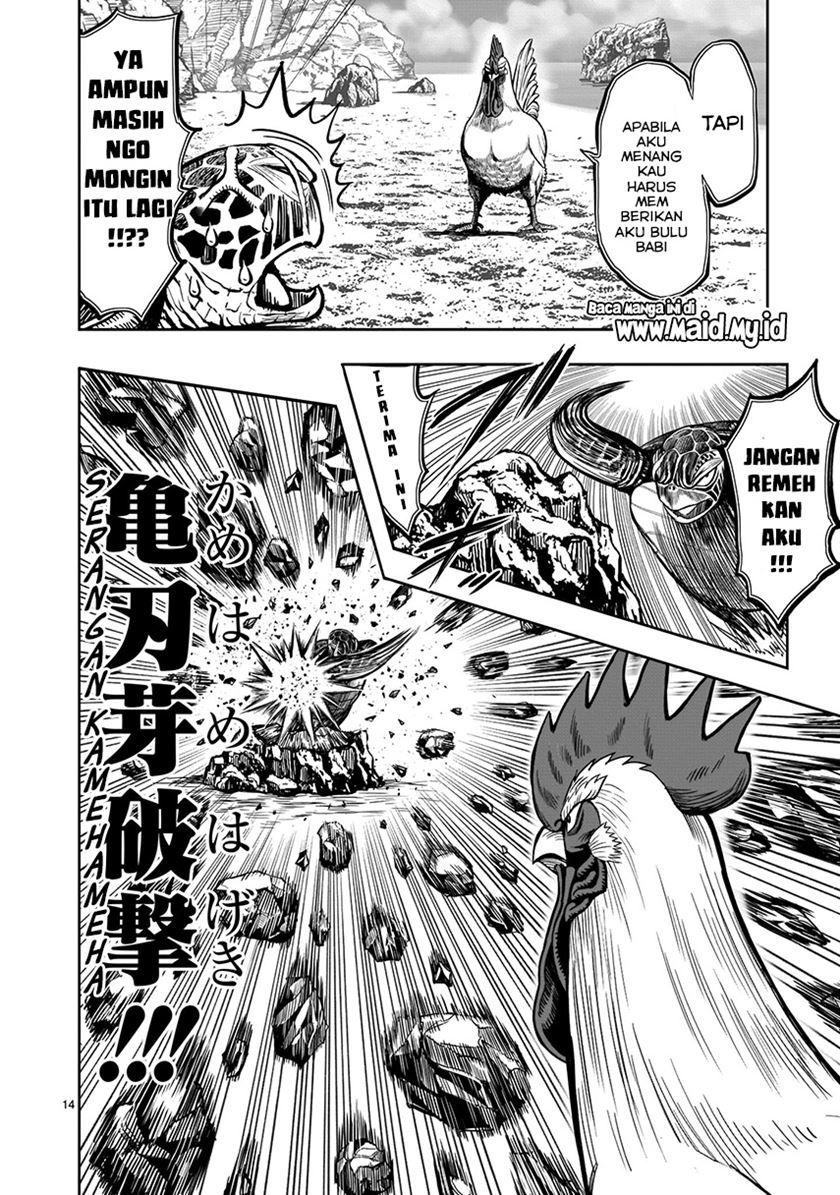 Rooster Fighter