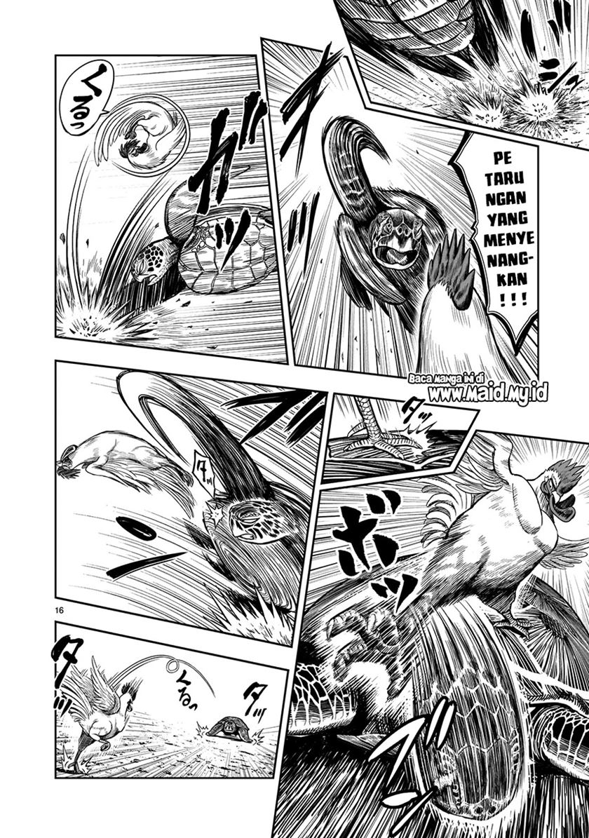 Rooster Fighter
