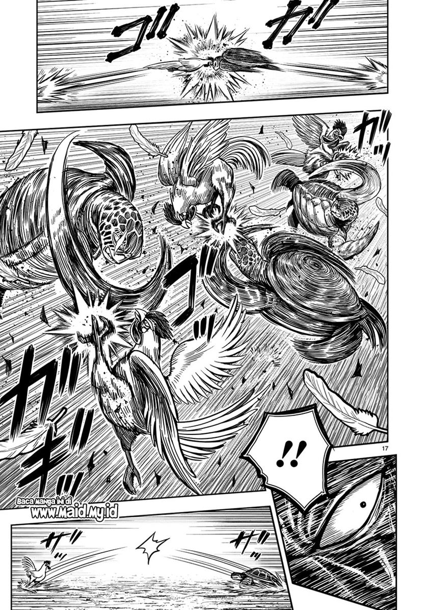 Rooster Fighter
