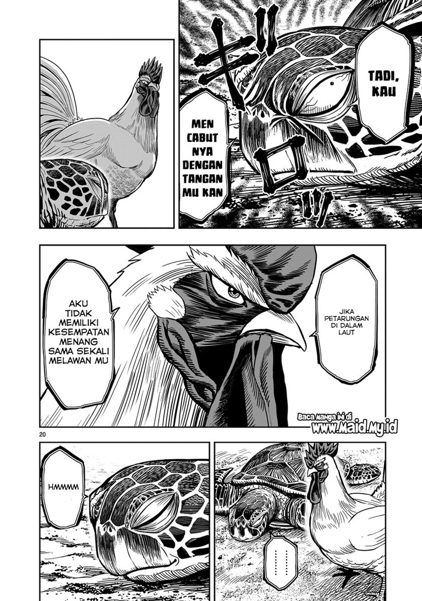 Rooster Fighter