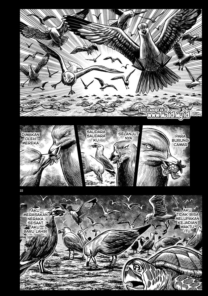 Rooster Fighter