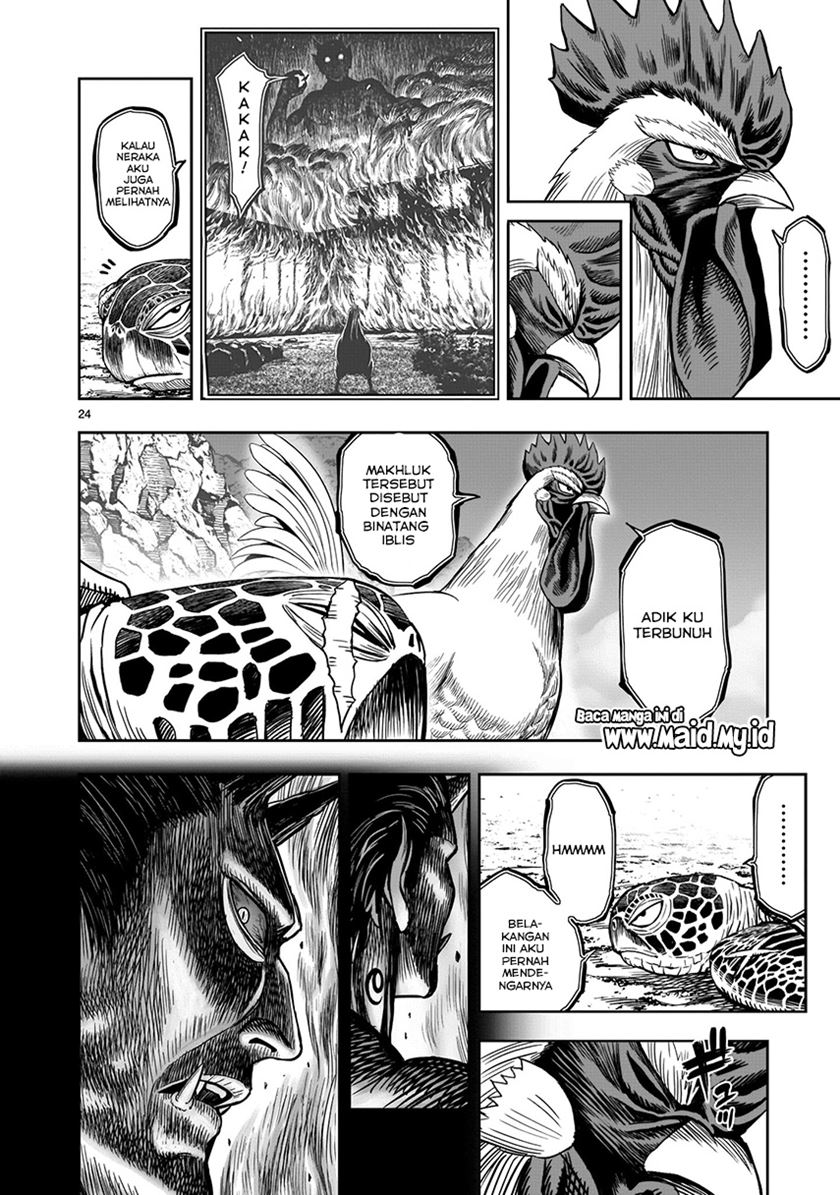 Rooster Fighter
