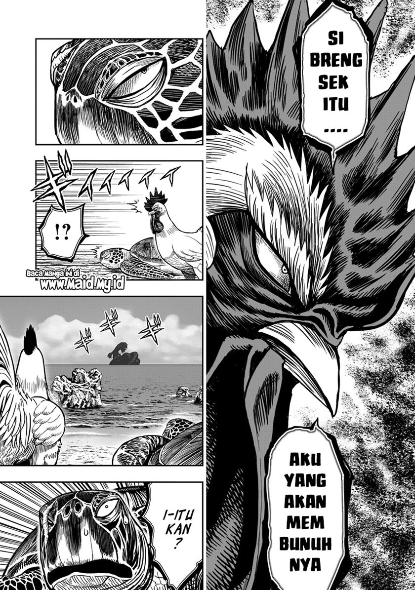 Rooster Fighter
