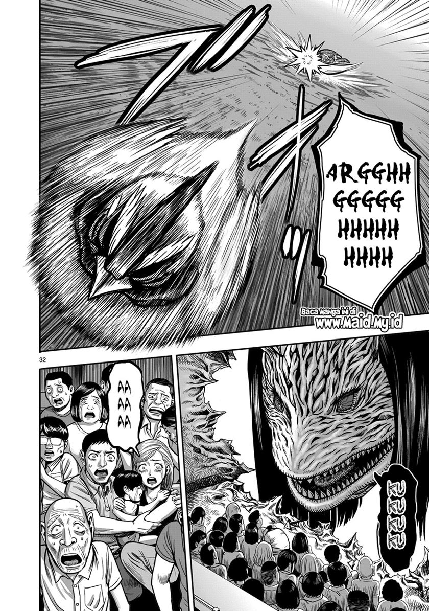 Rooster Fighter