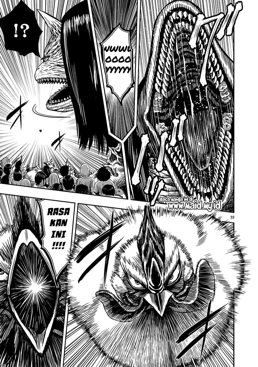 Rooster Fighter