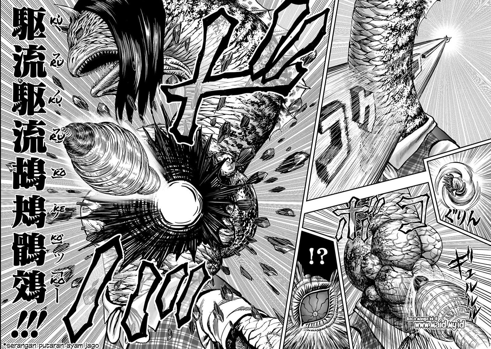 Rooster Fighter