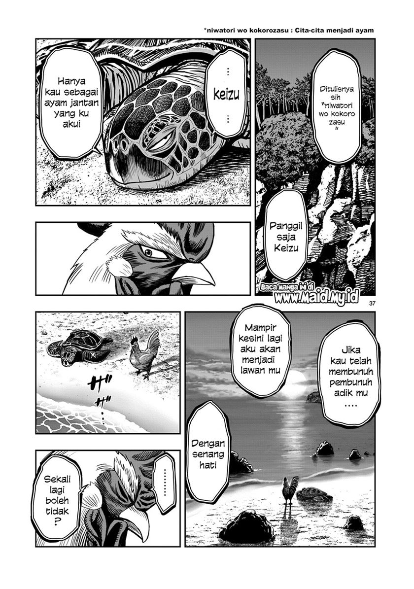 Rooster Fighter