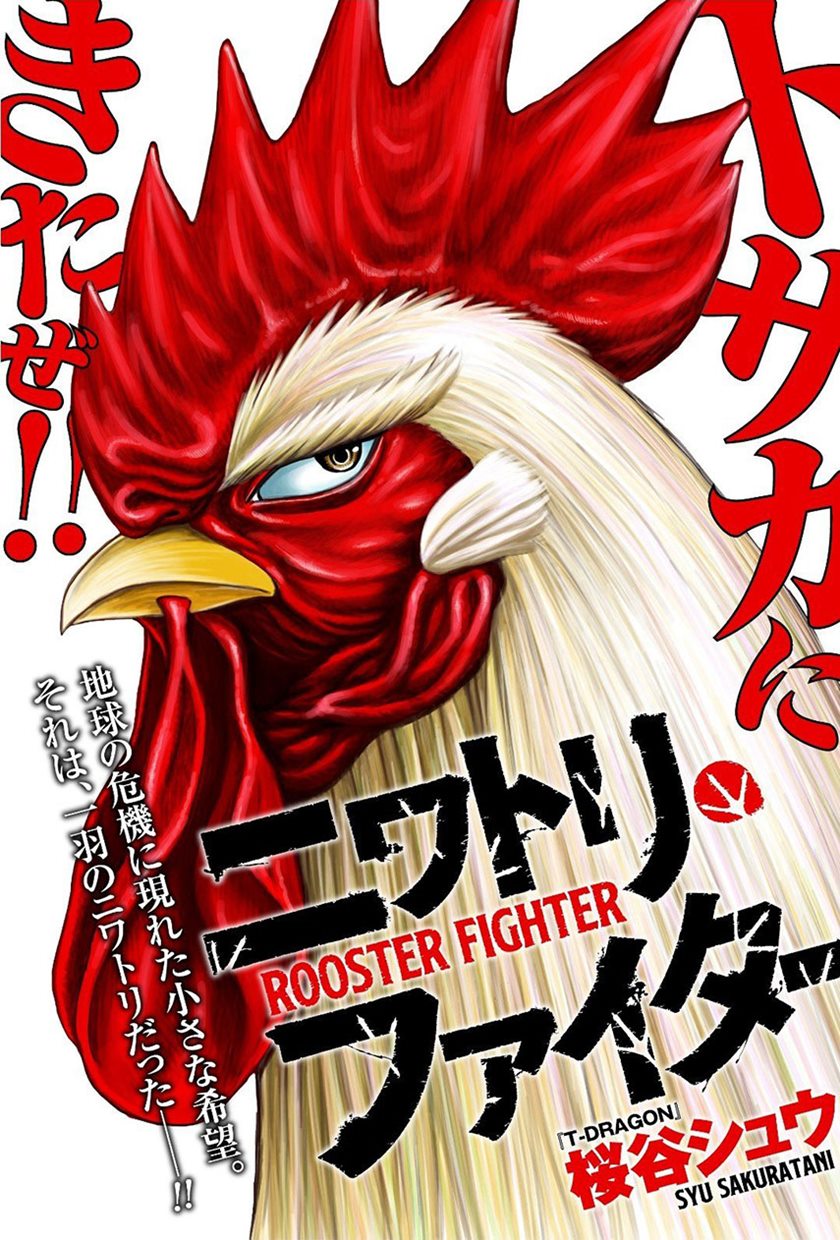 Rooster Fighter