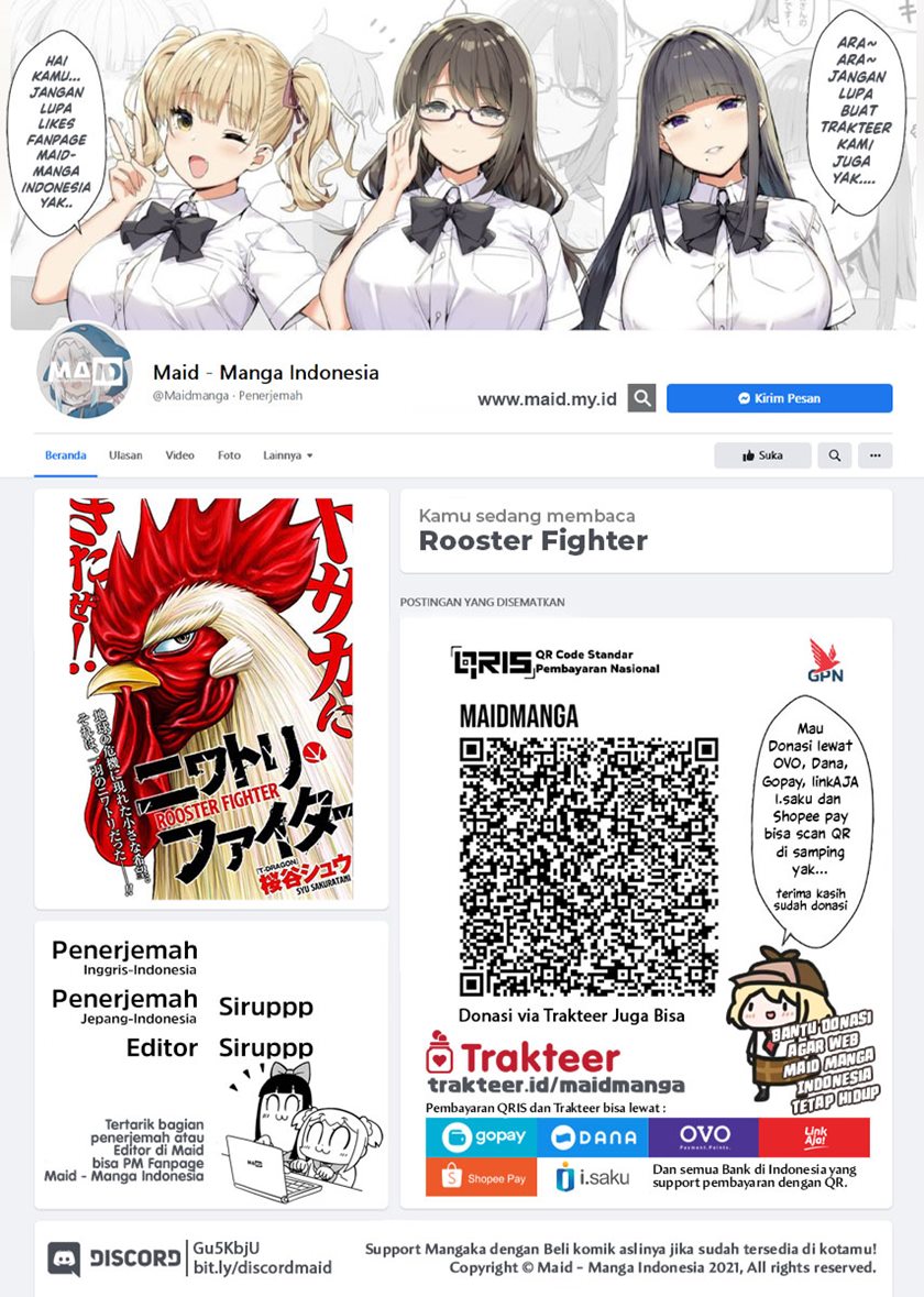 Rooster Fighter
