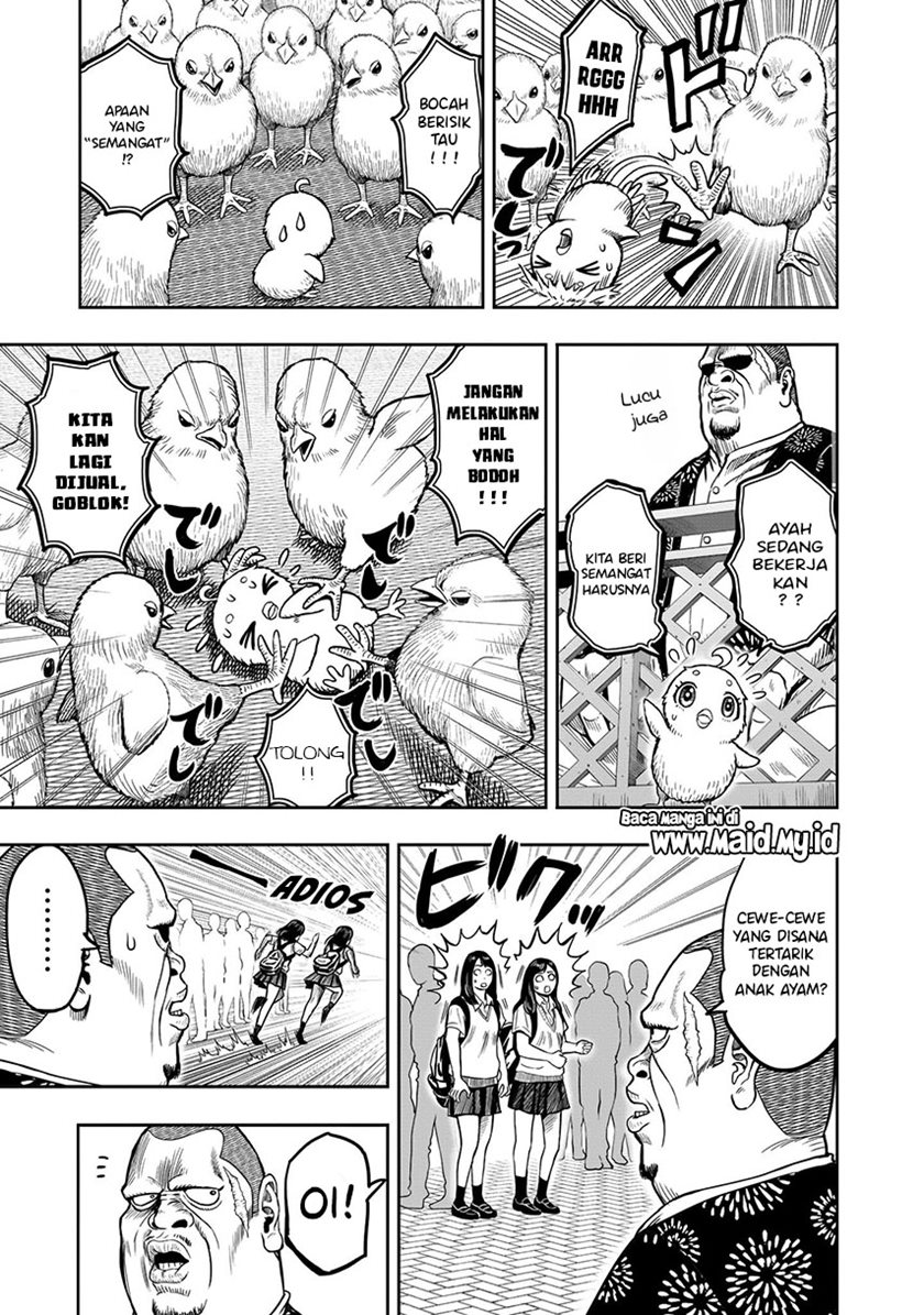Rooster Fighter