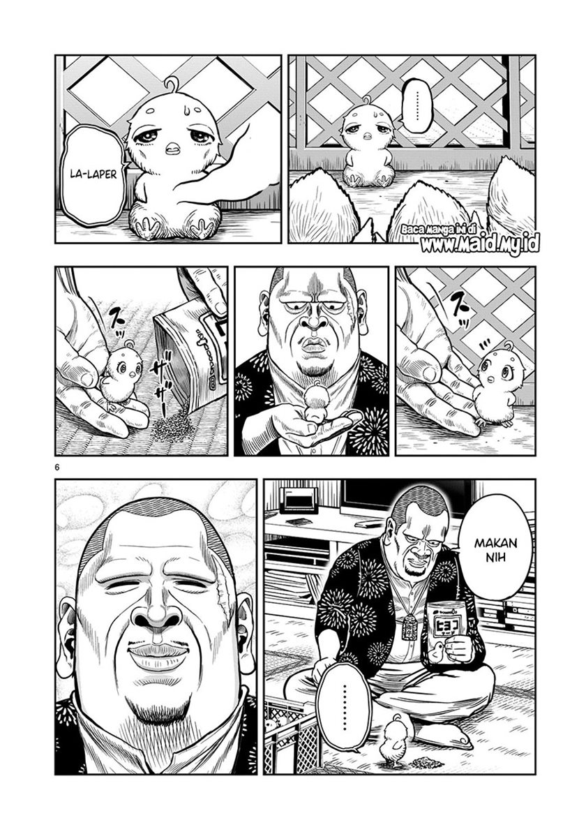 Rooster Fighter