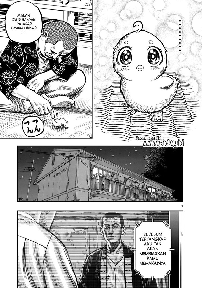 Rooster Fighter