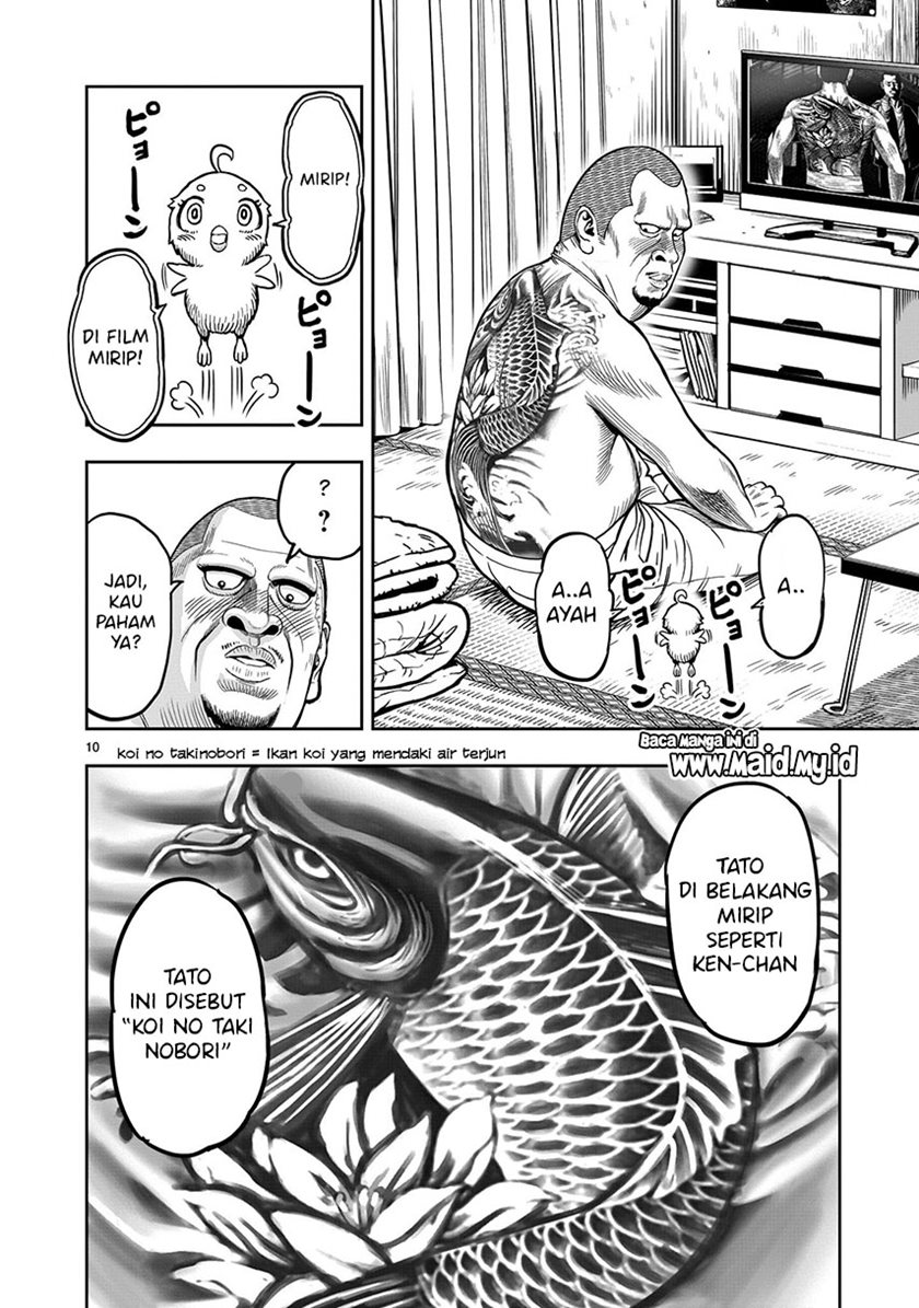 Rooster Fighter