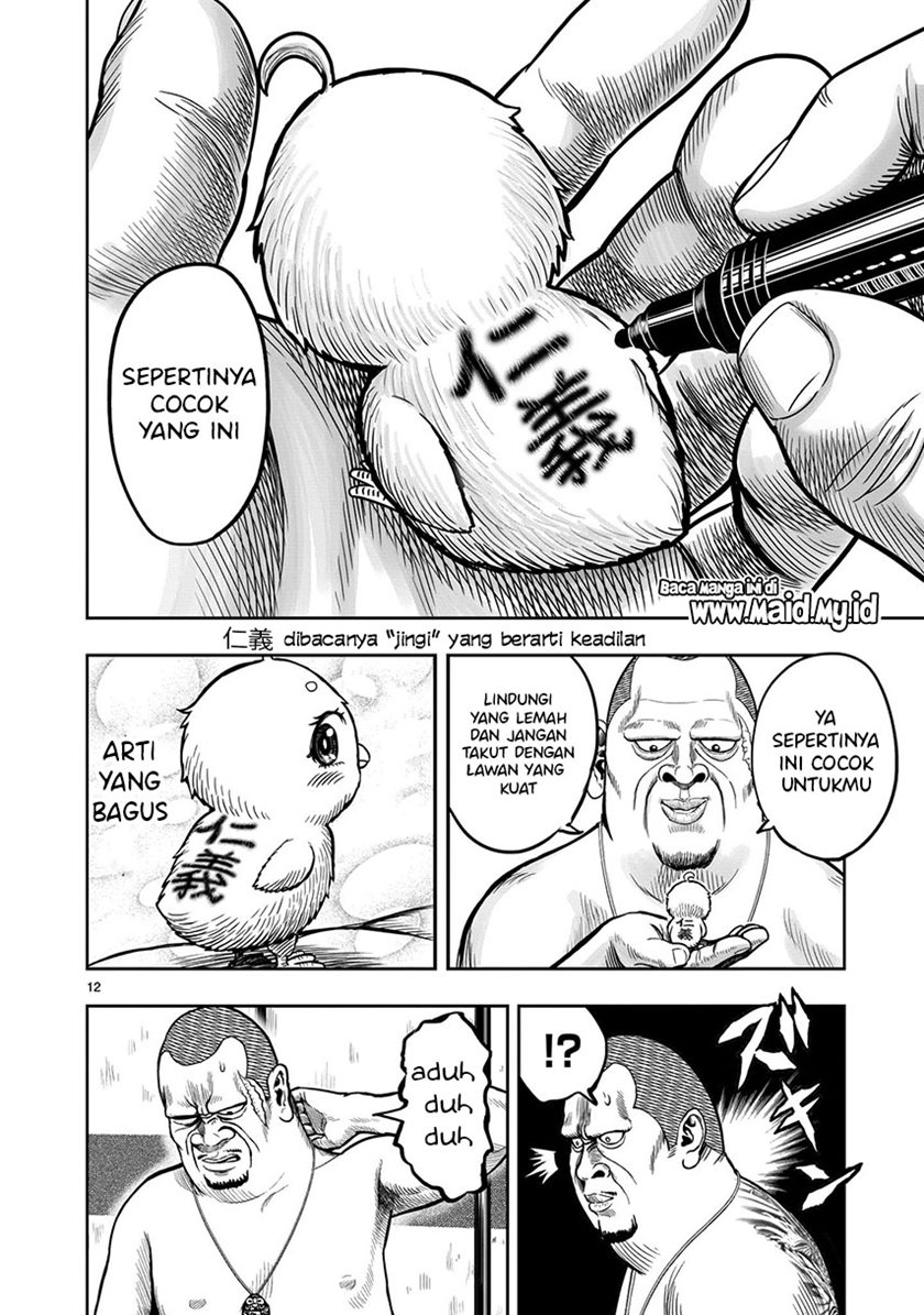 Rooster Fighter