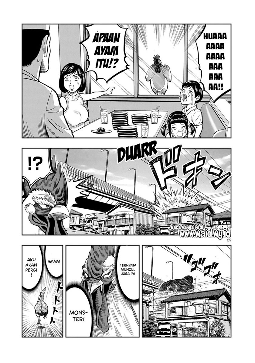 Rooster Fighter