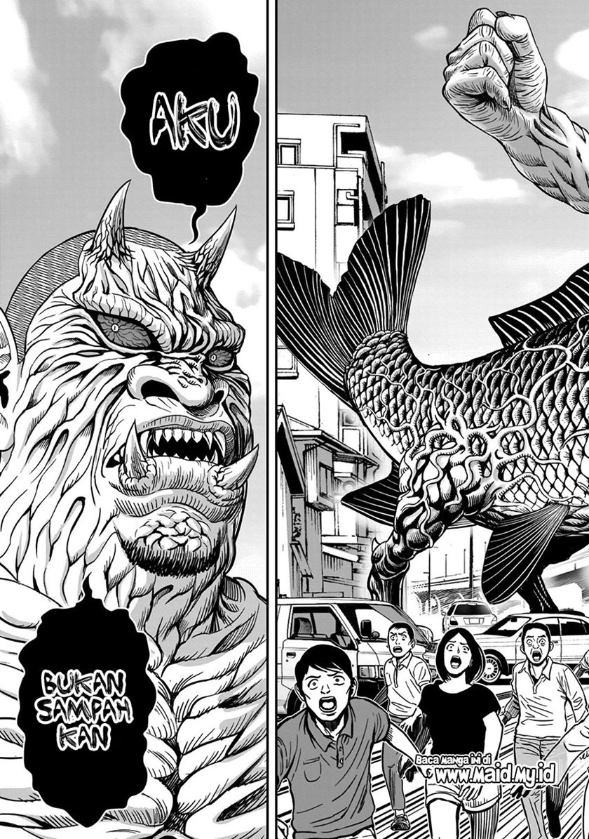 Rooster Fighter